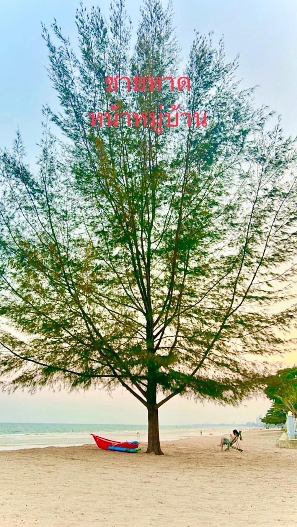 东方海滩温妮度假屋 七岩 外观 照片